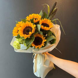Flowers titan