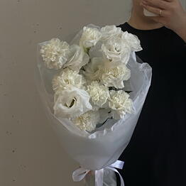 MIDORI WHITE