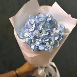 Цветущий лотос