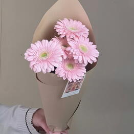 Алекс Де Флёр