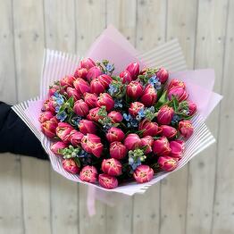 Peony-shaped tulips 49 pcs with oxypetalum