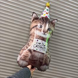 PartyDay