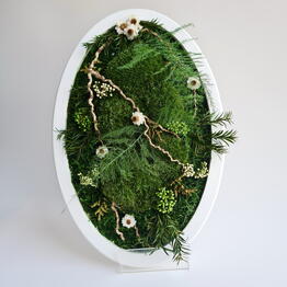 Nature Moss