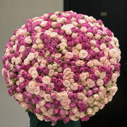 Lion Flowers