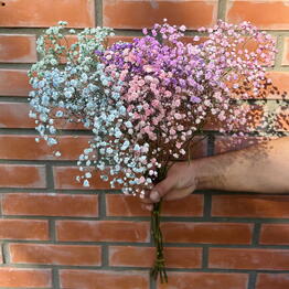 Flowerlays