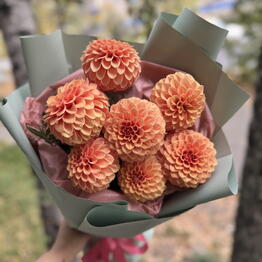 Katrin Flowers