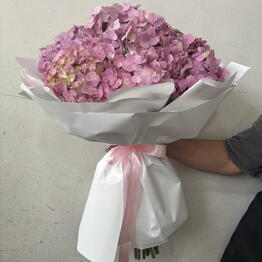 Lilac Flowers