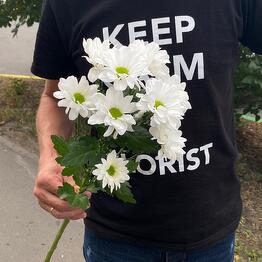 Amur Flowers