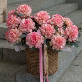 Liana Flowers
