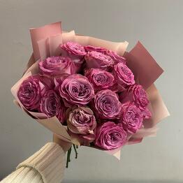 Fiore Lily spb