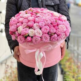 Bloom Boom