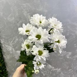 Esperansa