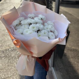 Flower Dreams
