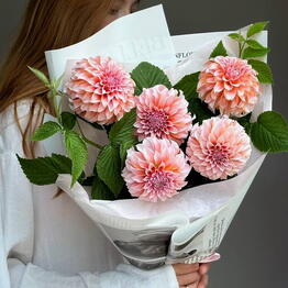 Miss Blooms