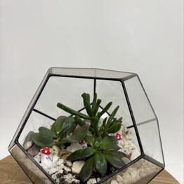 Теплица