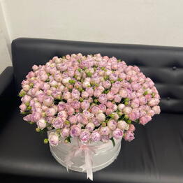 Bloom Boom