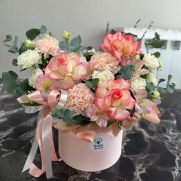 Bellis Flowers