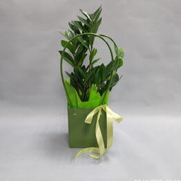 Flora