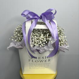 Hab Flowers Ferina