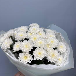 BAMBINI FLOWERS