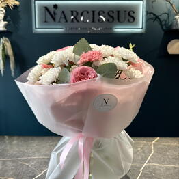 NARCISSUS