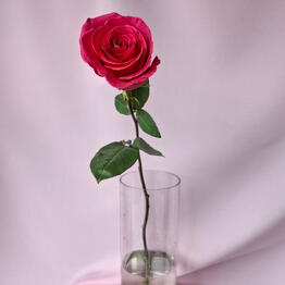 FLOWIA