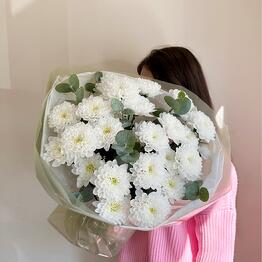 Leaves and Blooms