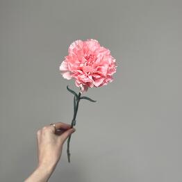 Bambini Flowers