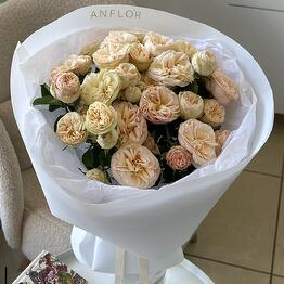 ANFLOR