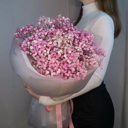 Floristoria