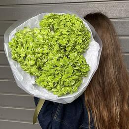 FLOVES