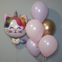 Unicorn cat 🦄