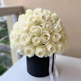 Flower Dream