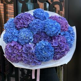 Seasons Flowers