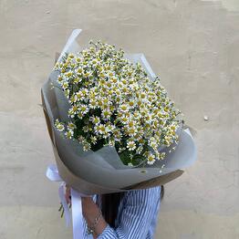 Cvetushchiy Den