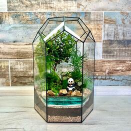 Florariumy Magic in glass ✨