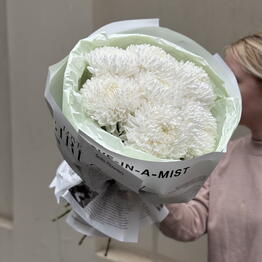 Solo Flowers
