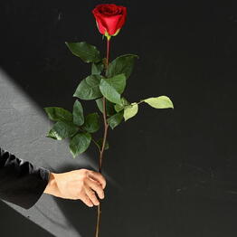 ROMANTIK.EKB
