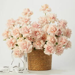 Rozen Dozen