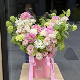 Viva Blossom