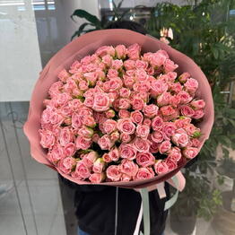 Bloomia