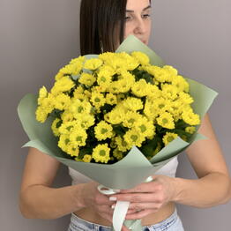 BFLOR