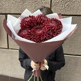 O’Fleurs