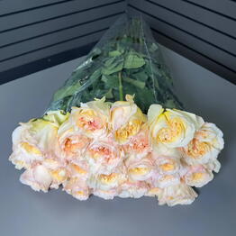 TIMAR FLOR