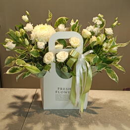 Fiore Lily spb