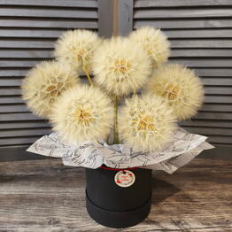 ROCK'N'FLOWER