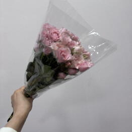 kitiflowers