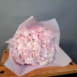 Lucas Flowers