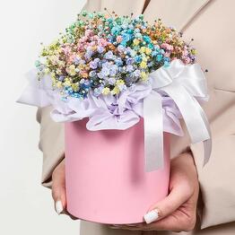 ФлораДисконт