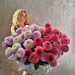 Vita Flowers